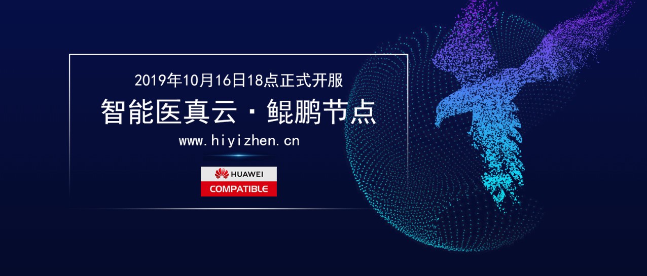 醫真云 · 鯤鵬節點(diǎn)正式開(kāi)服 5G先驅安全可控